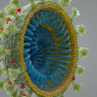 The coronavirus did not escape from a lab. Here's how we know. | Live Science