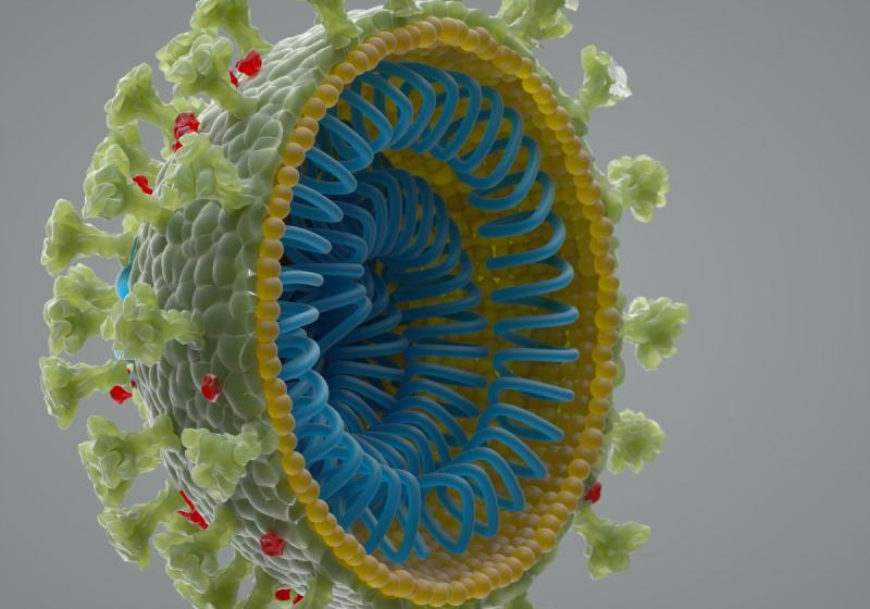 The coronavirus did not escape from a lab. Here's how we know. | Live Science