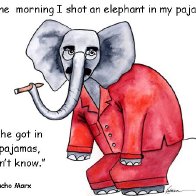 Elephants and Pajamas