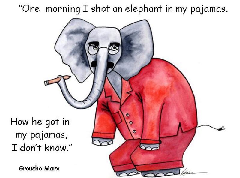 Elephants and Pajamas